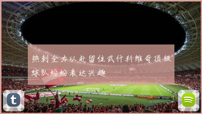 热刺全力以赴留住武什科维奇顶级球队纷纷表达兴趣