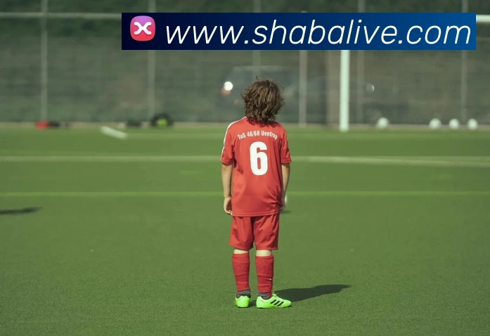 App Interface Preview